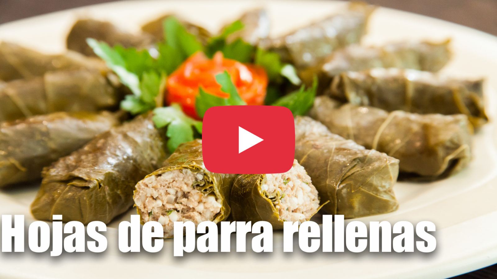 Hojas de parra rellenas Gaby Cervello